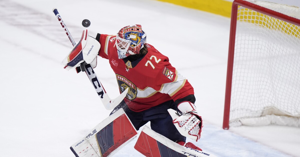 Florida's Sergei Bobrovsky involved in goalie fight