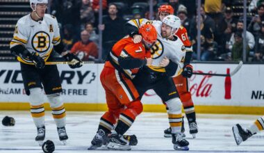 Ducks acquire Jeffrey Viel from Bruins in trade for 4th-round pick