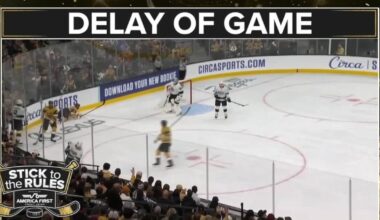 Delay of Game: When Hockey Hits Pause