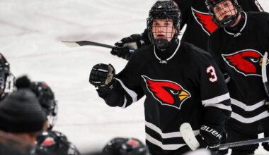 Boys Hockey: Aggressive pace powers Alexandria by conference foe Willmar - Alexandria Echo Press