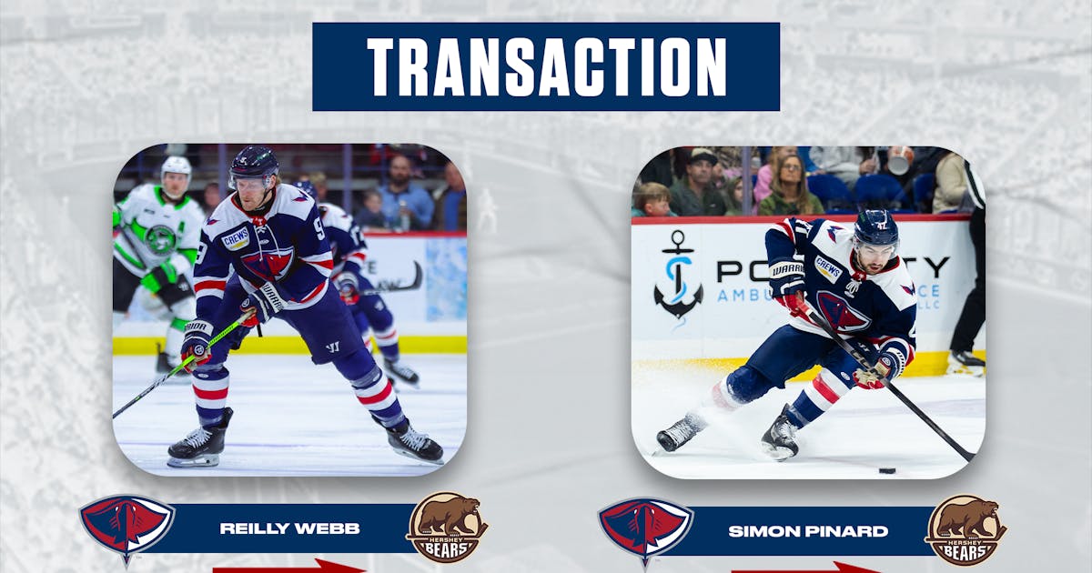 South Carolina Stingrays | FORWARD SIMON PINARD RECALLED BY HERSHEY, DEFENSEMAN REILLY WEBB SIGNS PTO WITH BEARS