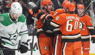 Lukas Dostal has 24 saves as Ducks beat Stars 3-1 to snap nine-game skid