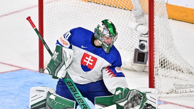 University of Minnesota-Duluth Bulldog's goalie Adam Gajan has had an impressive season that led him to the Slovakian Olympic hockey team. (Photo courtesy of NHL.com)