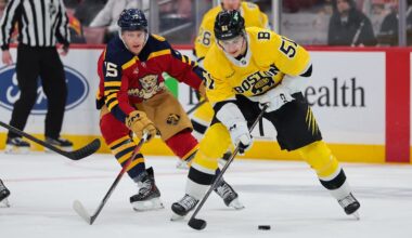 Feb 4, 2026; Sunrise, Florida, USA; ]Boston Bruins center Matthew Poitras (51) moves the puck against Florida Panthers center Anton Lundell (15) during the first period at Amerant Bank Arena. Mandatory Credit: Sam Navarro-Imagn Images