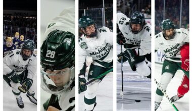 MSU well-represented in professional hockey