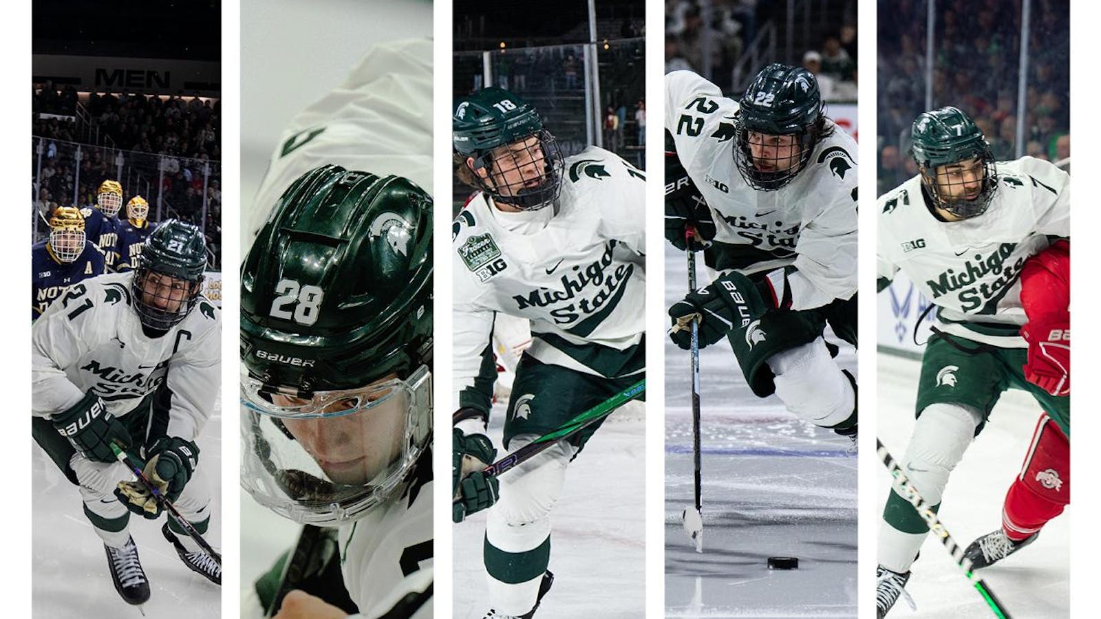 MSU well-represented in professional hockey