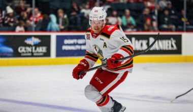 Grand Rapids Griffins | Sheldon Dries Signs Two-Year Contract…