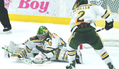 Well-timed split in CCHA: Wildcats hockey moves out of last place with 1st home win of season | News, Sports, Jobs