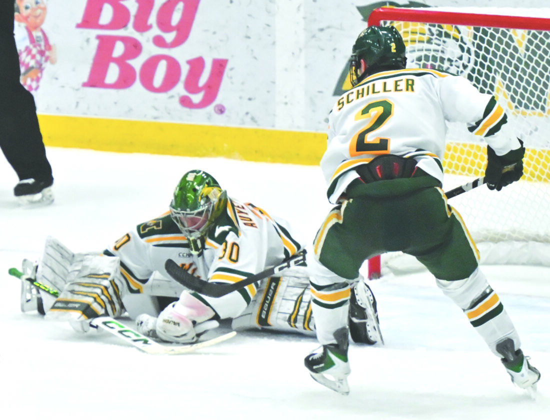 Well-timed split in CCHA: Wildcats hockey moves out of last place with 1st home win of season | News, Sports, Jobs