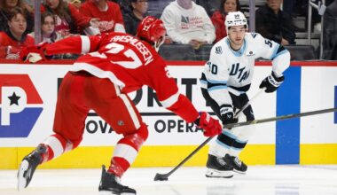Nick Schmaltz, Clayton Keller steer Mammoth past Red Wings