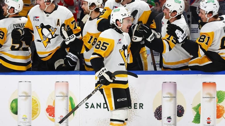 Pittsburgh Penguins forward Avery Hayes (85) celebrates his goal during...