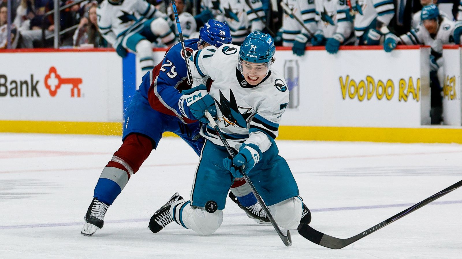 Macklin Celebrini San Jose Sharks