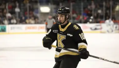 Vancouver Canucks gives hope to the future in impressive first OHL season