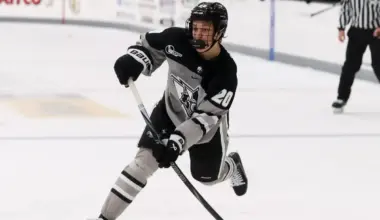 6-foot-3 Canadiens prospect Logan Sawyer turns heads with Providence breakout