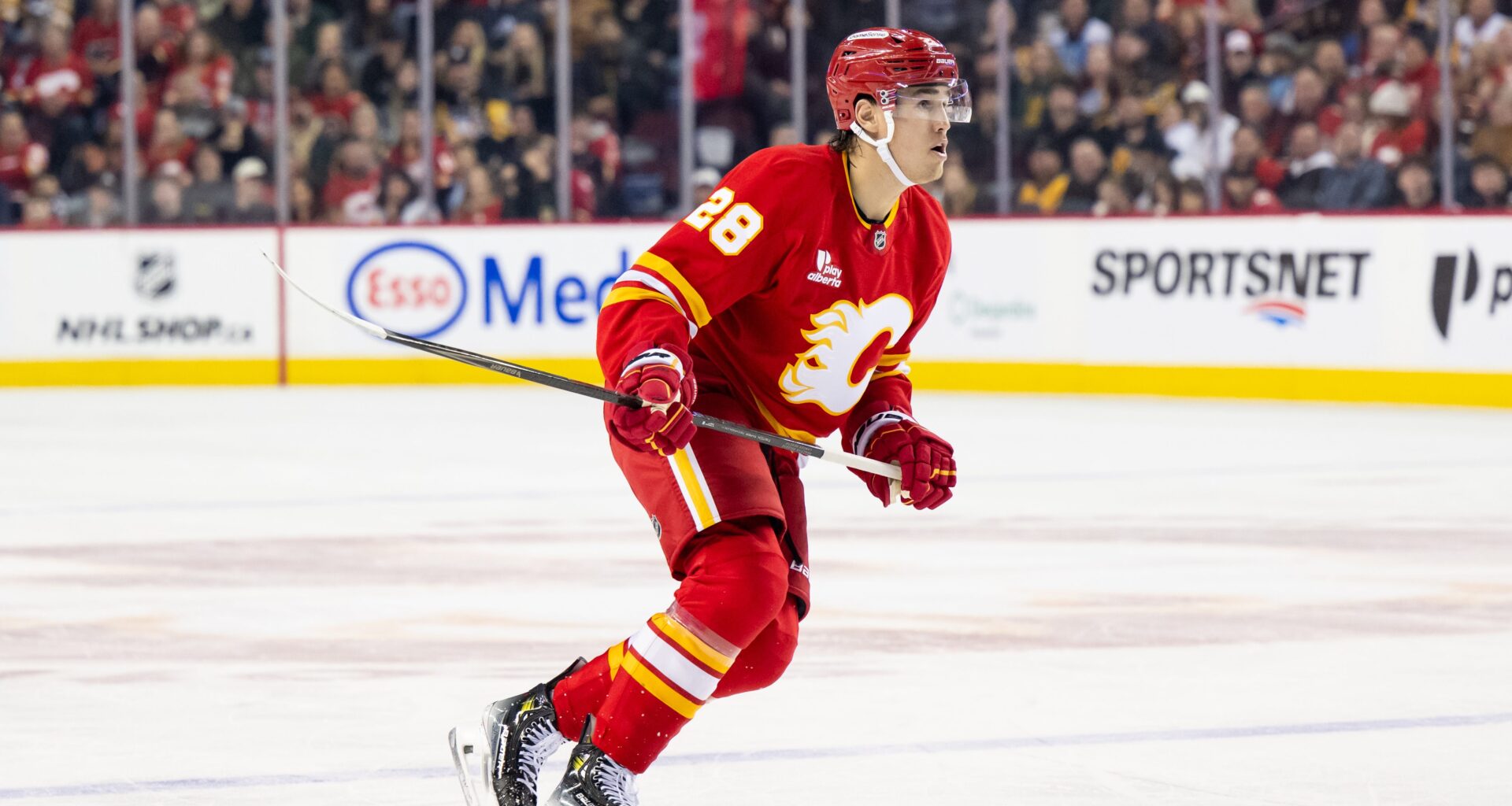 Red Wings Trade Pitch Lands Big Flames Defender