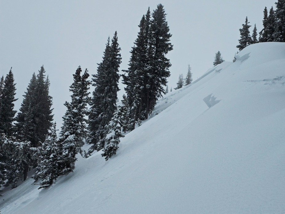 An avalanche from Feb. 12, 2026 in the central mountains of Colorado. 