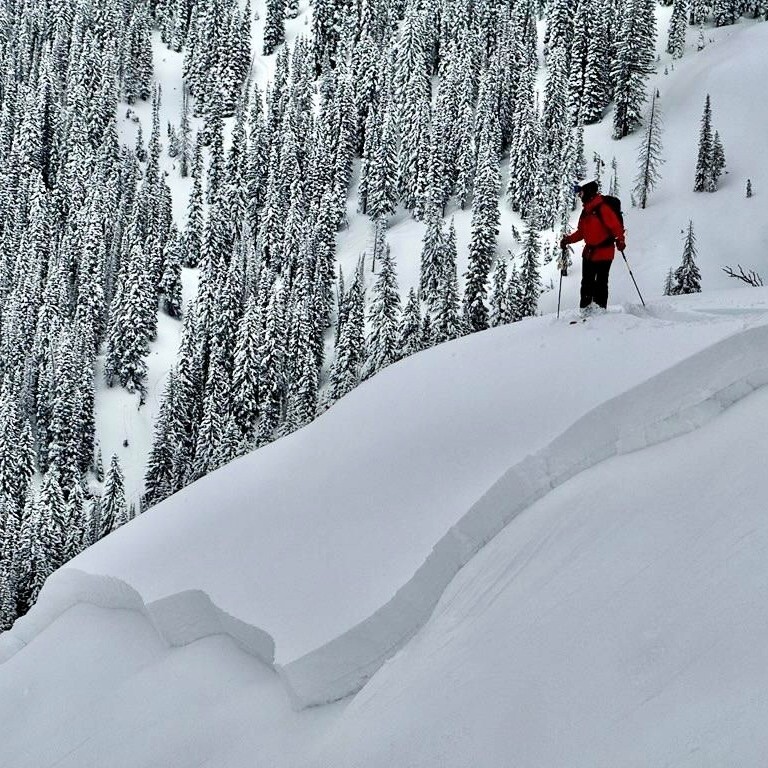 An avalanche broke near North Fork of Fish Creek near Steamboat Springs on Feb. 13, 2026.