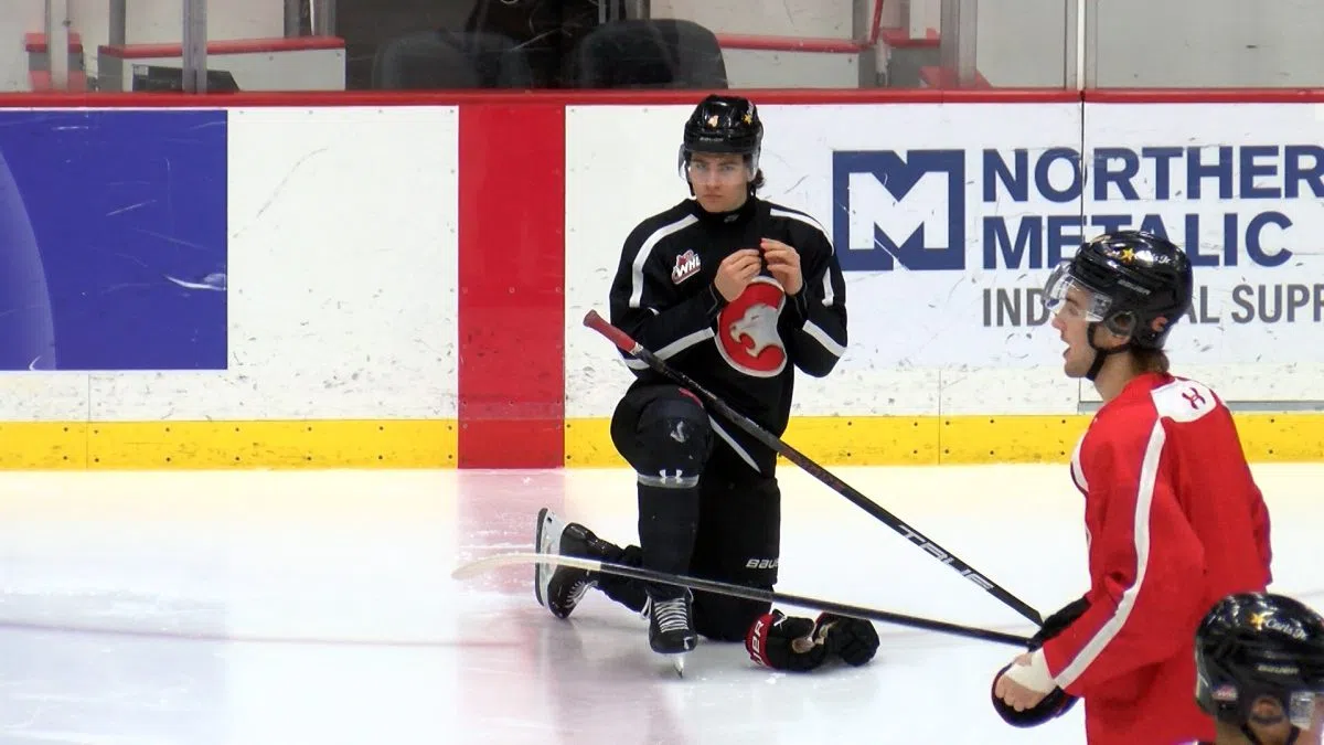 Carels continues to impress as NHL Draft approaches