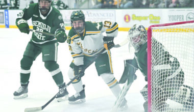 Wildcats hockey desperately needs 2 wins this weekend | News, Sports, Jobs