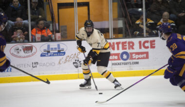 No. 20 Huskies hockey hosts No. 16 Augustana for Winter Carnival | News, Sports, Jobs