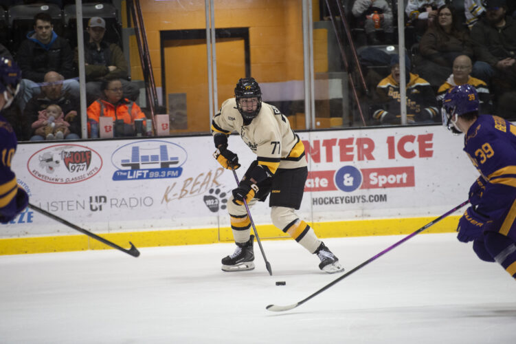 No. 20 Huskies hockey hosts No. 16 Augustana for Winter Carnival | News, Sports, Jobs