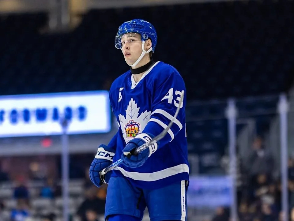Forward Luke Haymes of the Toronto Marlies.