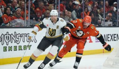 Golden Knights' late comeback not enough to overcome Ducks in 4-3 loss