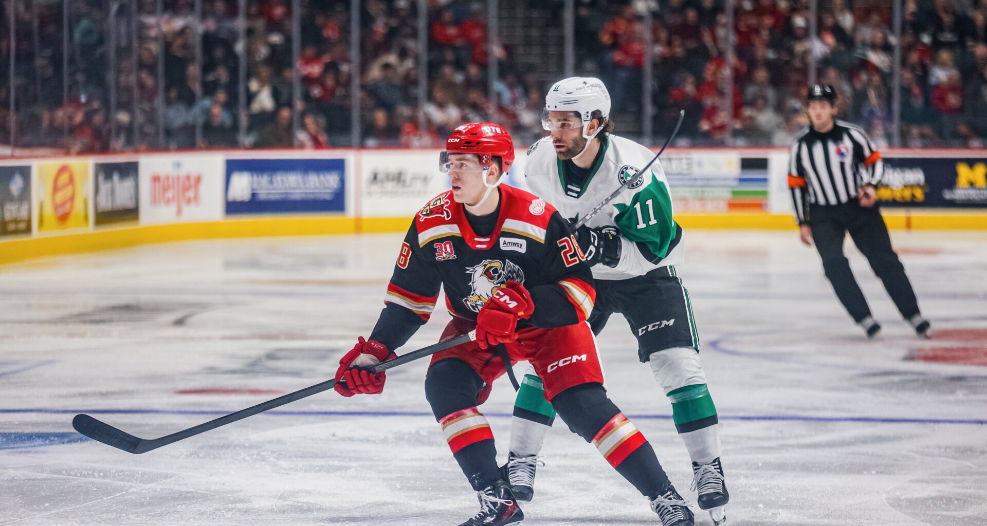 Stars Win Streak Ends in Grand Rapids | Texas Stars