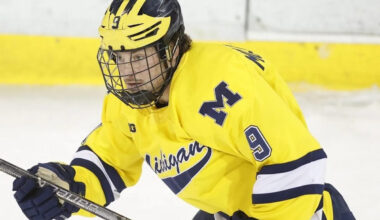 Maple Leafs prospects Nick Moldenhauer, Luke Haymes hitting groove in developing