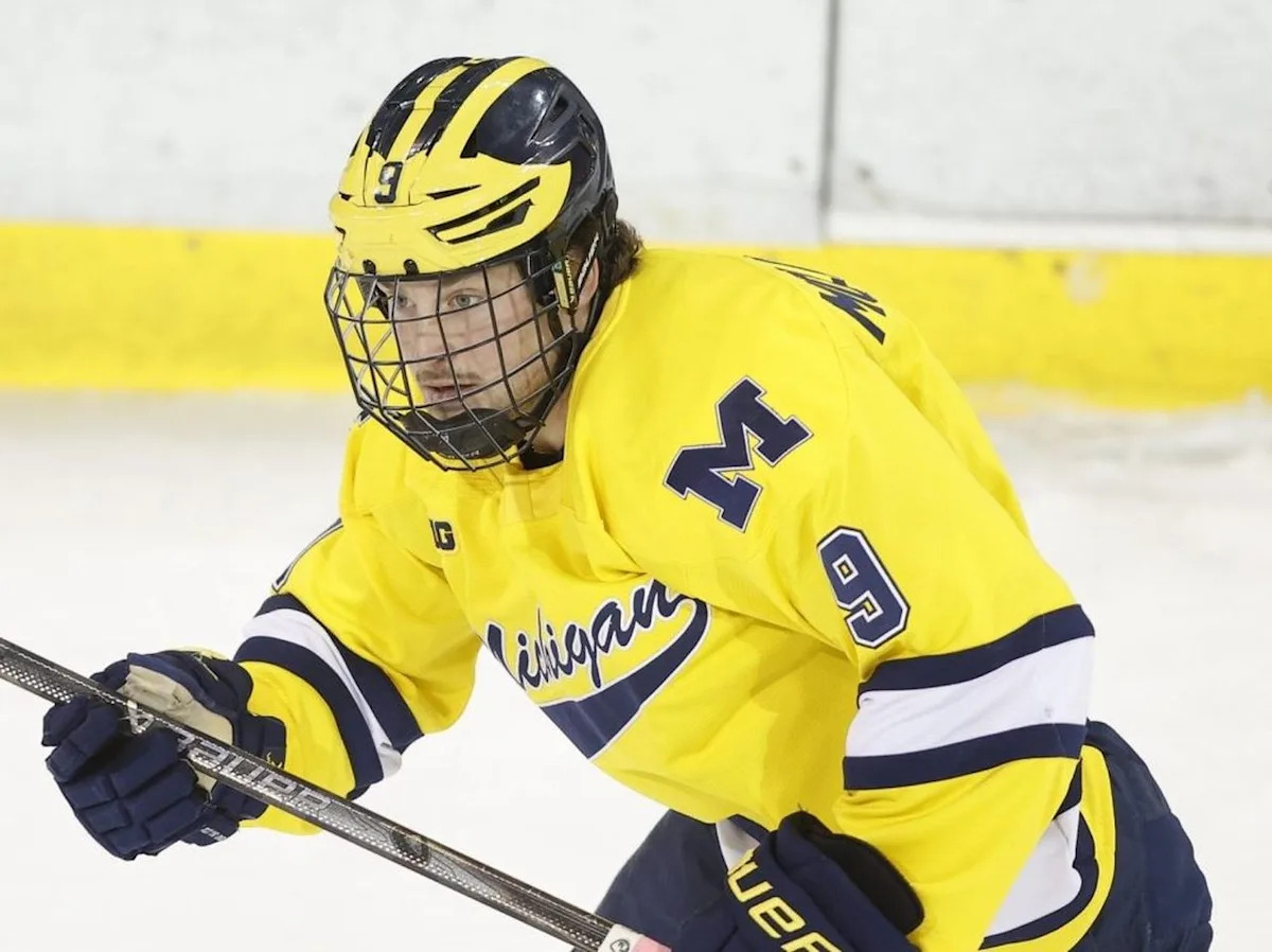 Maple Leafs prospects Nick Moldenhauer, Luke Haymes hitting groove in developing