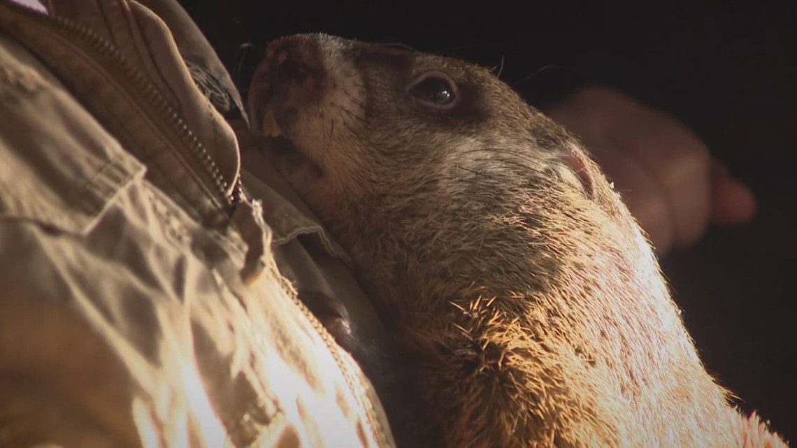 6 more weeks of winter? Buffalo Bert makes his annual prediction