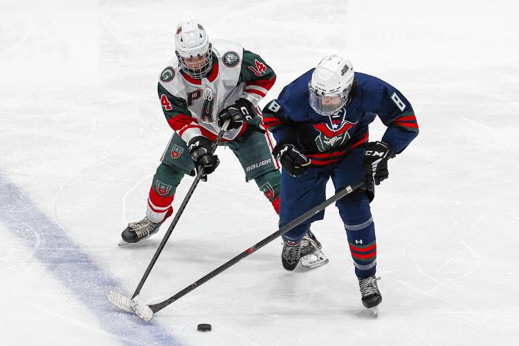 Hedquist leads General Hawks to success in Division III hockey