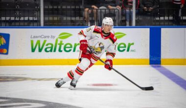 Sheldon Dries, Red Wings prospect