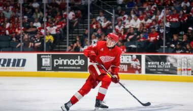 Michael Brandsegg-Nygard