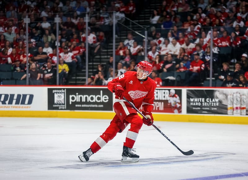 Michael Brandsegg-Nygard