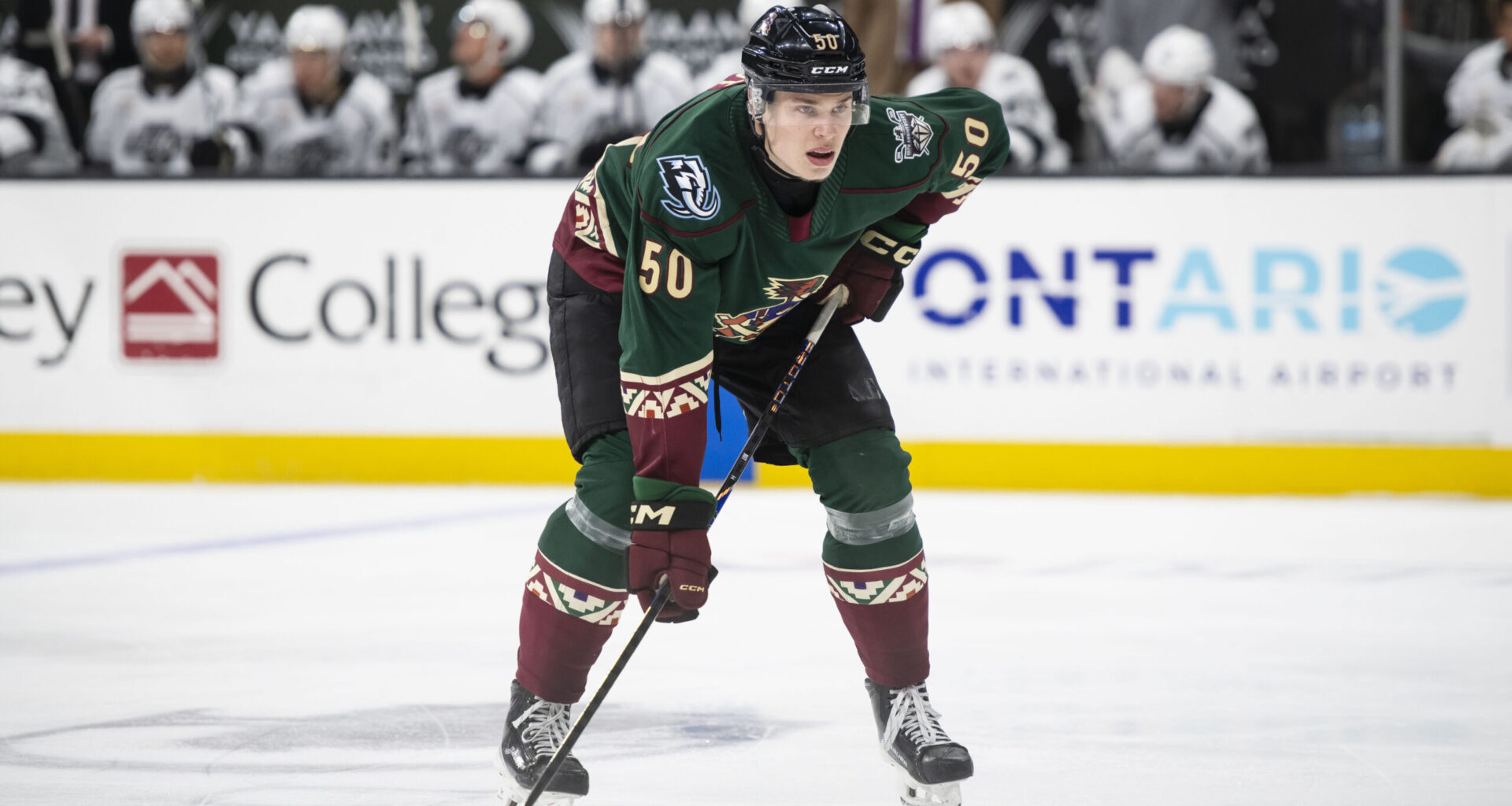 Tucson Roadrunners Hockey