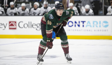 Tucson Roadrunners Hockey