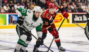 Grand Rapids Griffins | Game Notes: Griffins vs. Stars