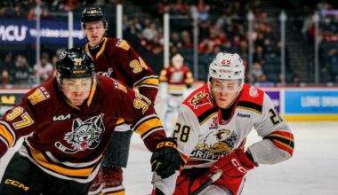 Grand Rapids Griffins | Game Notes: Griffins vs. Wolves