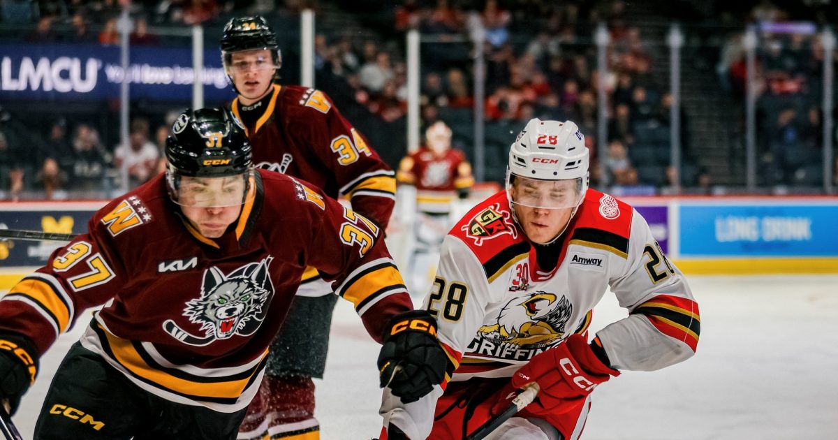 Grand Rapids Griffins | Game Notes: Griffins vs. Wolves