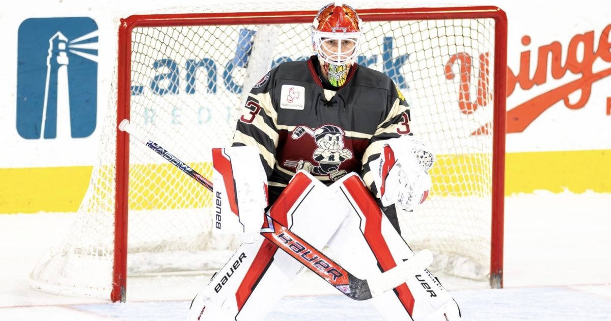 Rockford IceHogs | Jam Packed Blackhawks Centennial Celebration This…