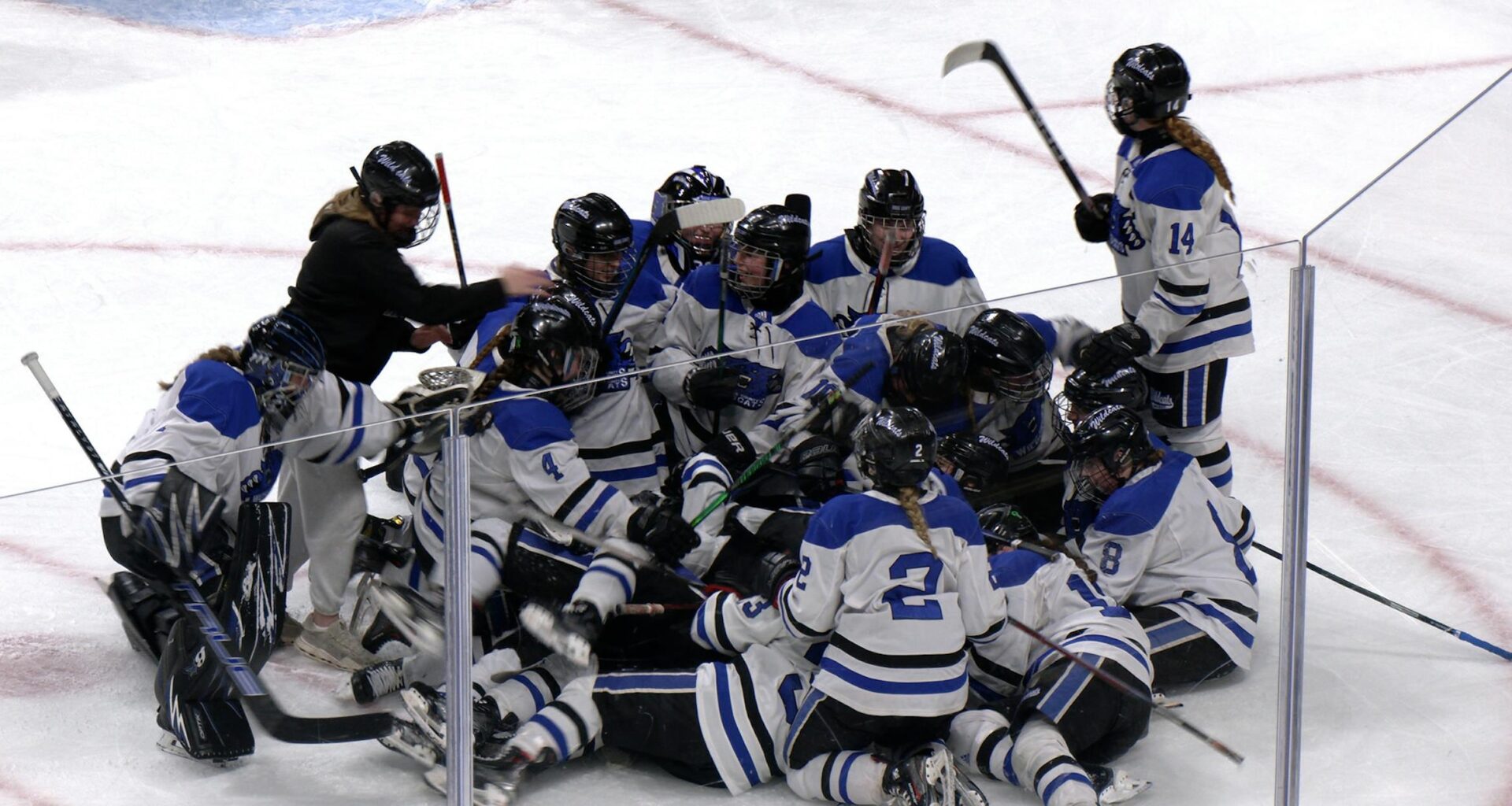 Dodge County girls hockey wins MN state quarterfinal