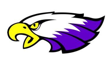 Owatonna boys hockey scores late goal to steal win at Red Wing | Sports