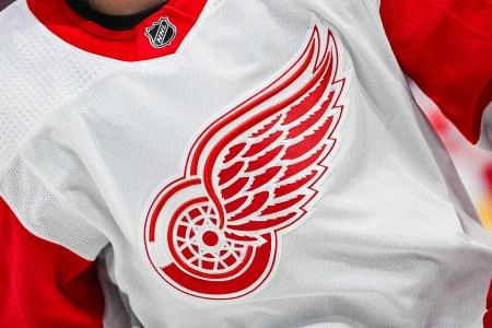 Dec 2, 2023; Montreal, Quebec, CAN; View of a Detroit Red Wings logo on a jersey worn by a member of the team during warm-up before the game against the Montreal Canadiens at Bell Centre. Mandatory Credit: David Kirouac-Imagn Images
