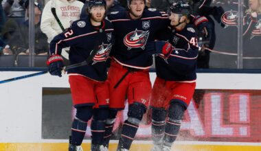 Johnson has goal and an assist in Blue Jackets' 5-3 win over Blues | National Sports