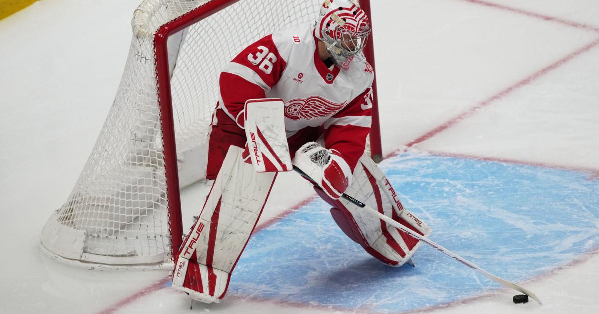Gibson and Raymond power Red Wings to a 2-0 victory over the Avalanche | Sports