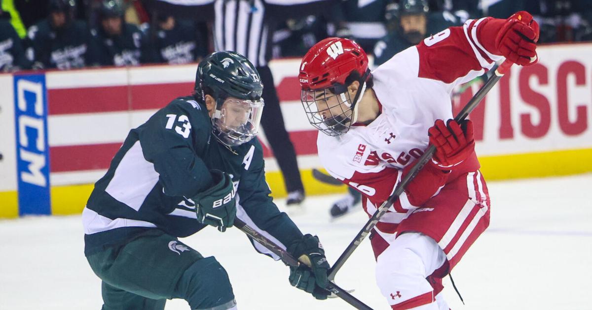 Injury ends season for Wisconsin defenseman Logan Hensler