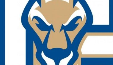 College roundup: William Smith rallies past SUNY Canton in SUNYAC women’s hockey playoffs | College Sports