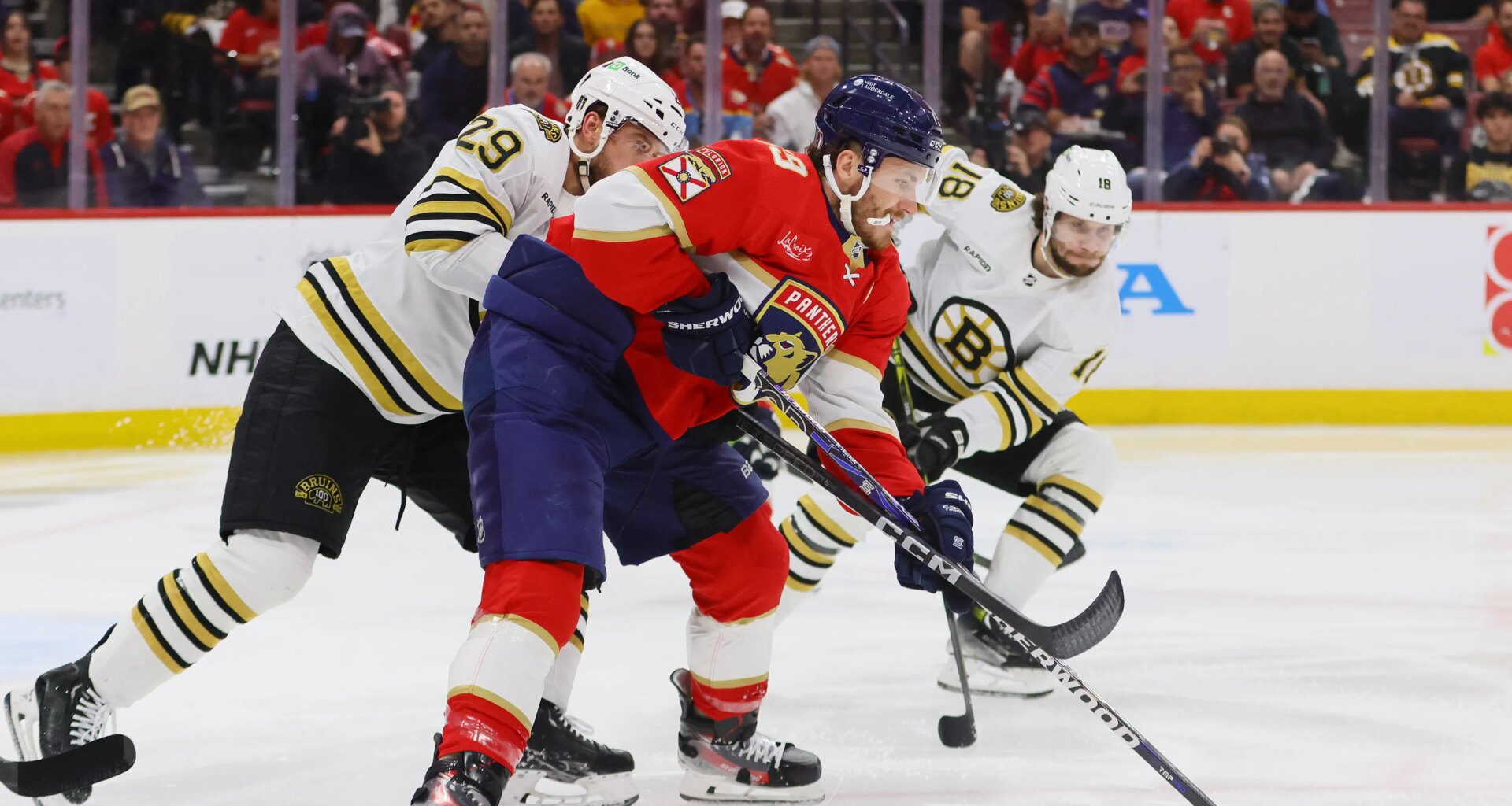 Bruins at Panthers odds, picks and predictions