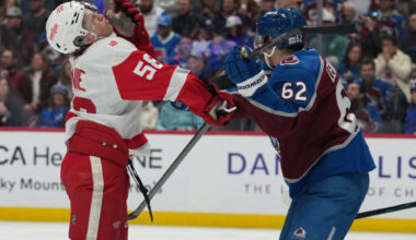 Gibson and Raymond power Red Wings to a 2-0 victory over the Avalanche | News, Sports, Jobs